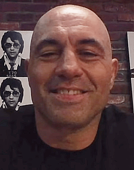 Joe Rogan's profile picture